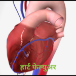 heart fail mhnje kay heart fail heart failure means heart failure symptoms heart failure causes in marathi treatment of heart failure in marathi